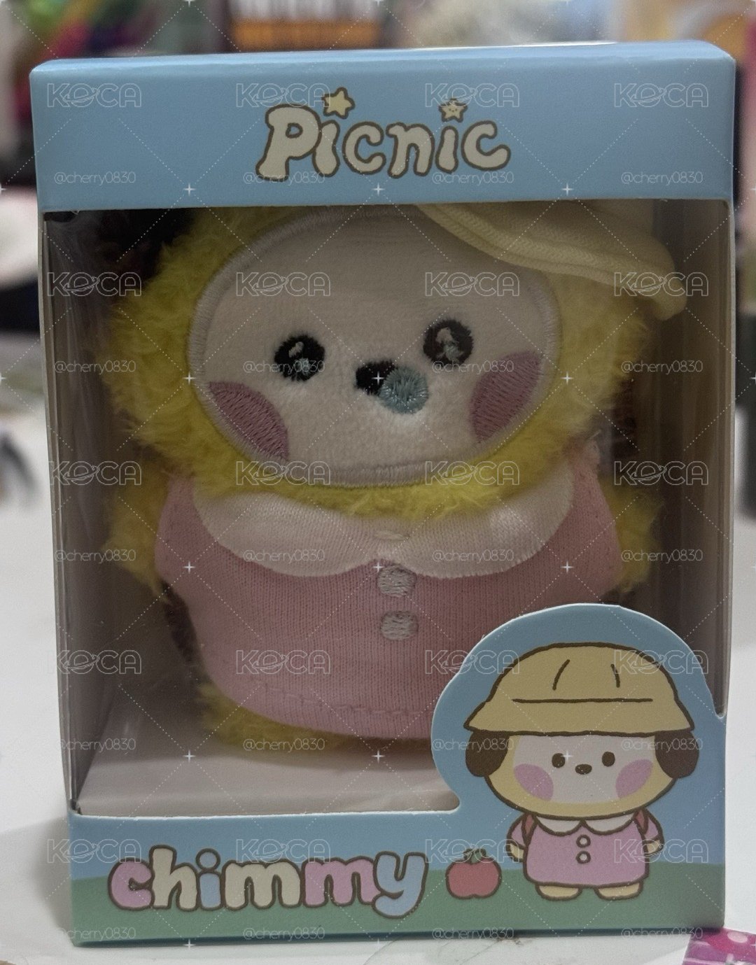 BT21 minini SS娃 Picnic Mate系列