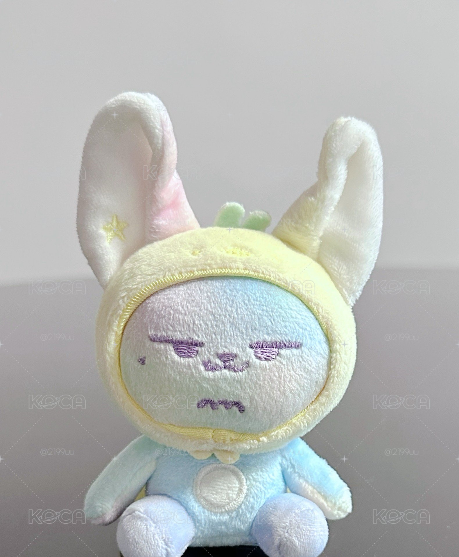 彩顏春春 •̀ɞ•́
