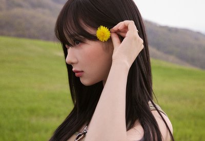 兩張一起賣區