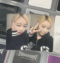 正規一中背