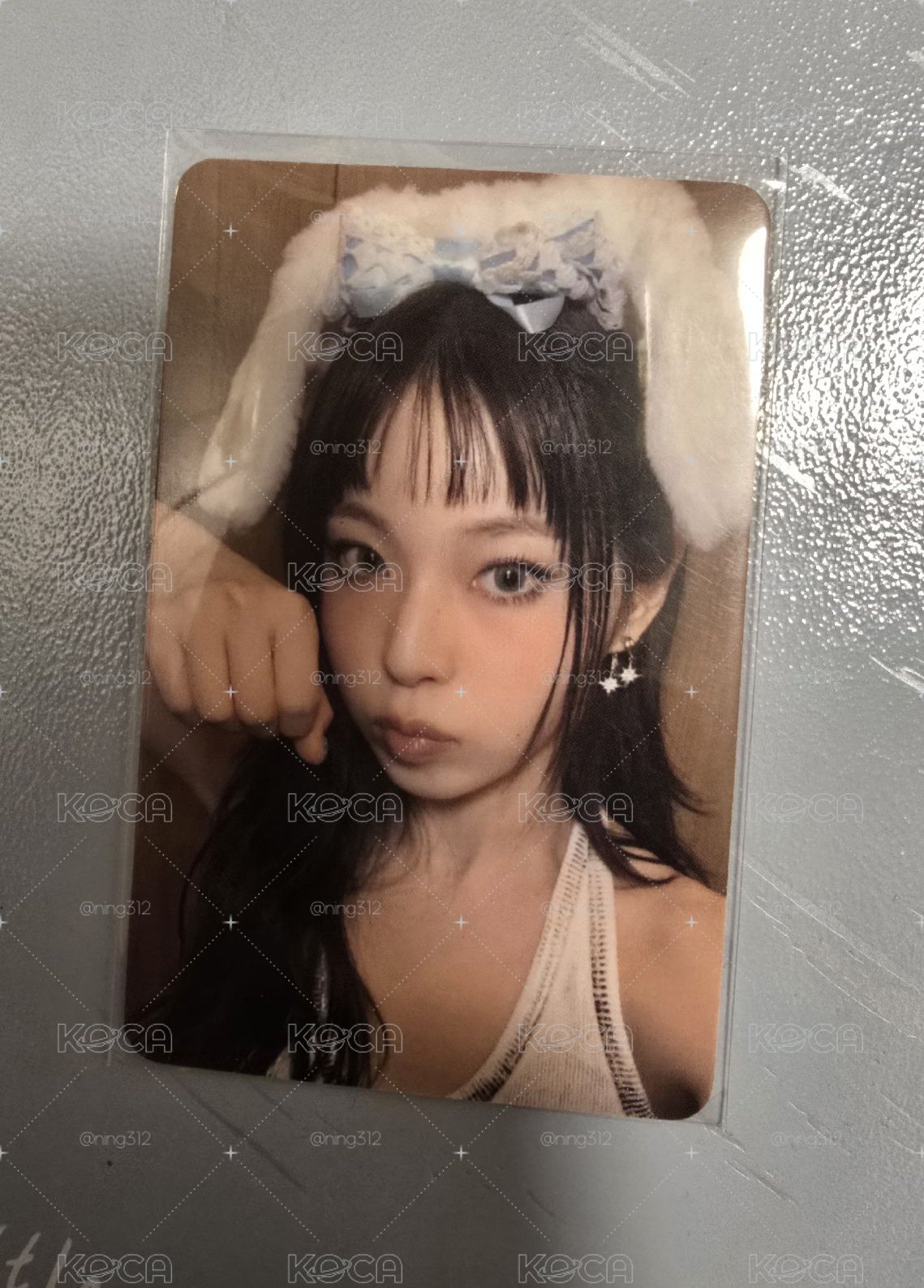 小貓大王 圭