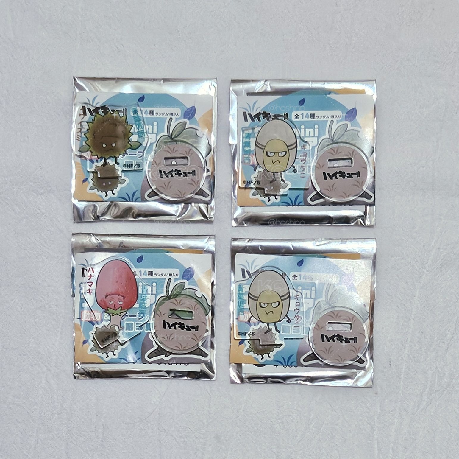 🎀〈排球少年〉2025 fan park 青城吉祥物mini立牌