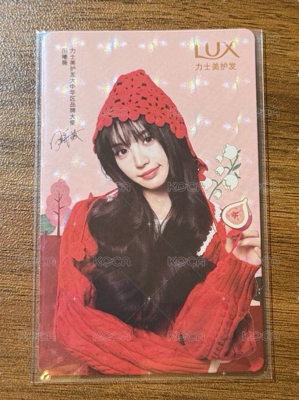 小田紅帽橘背