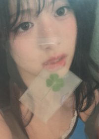 幸運草1600直出或1200帶800（帶綁物區可只帶500