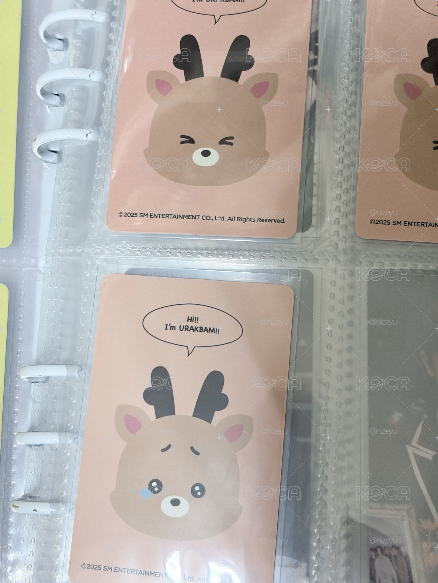 上海快閃 BONOBONO 壽司 烏拉鹿