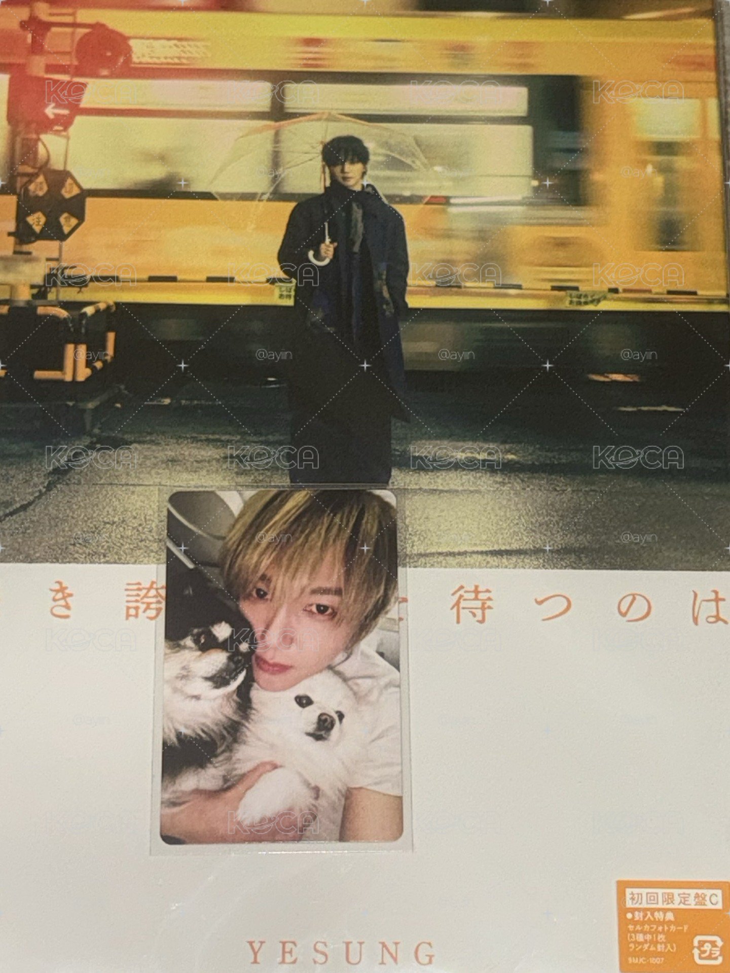 藝聲日專全專 初回限定C