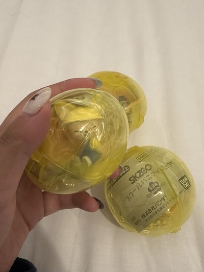 校車扭蛋彬寅
