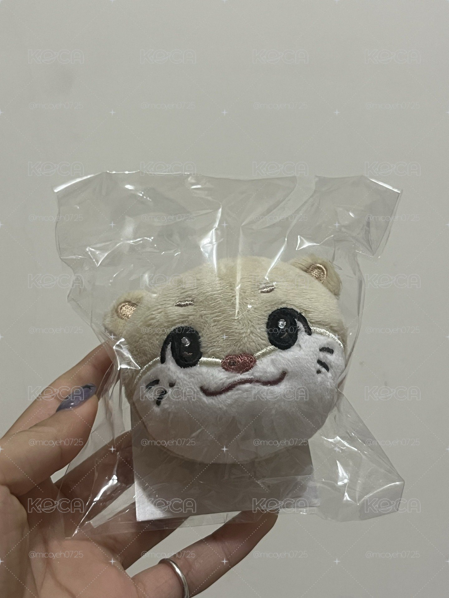 日巡周邊 🦦大頭吊飾