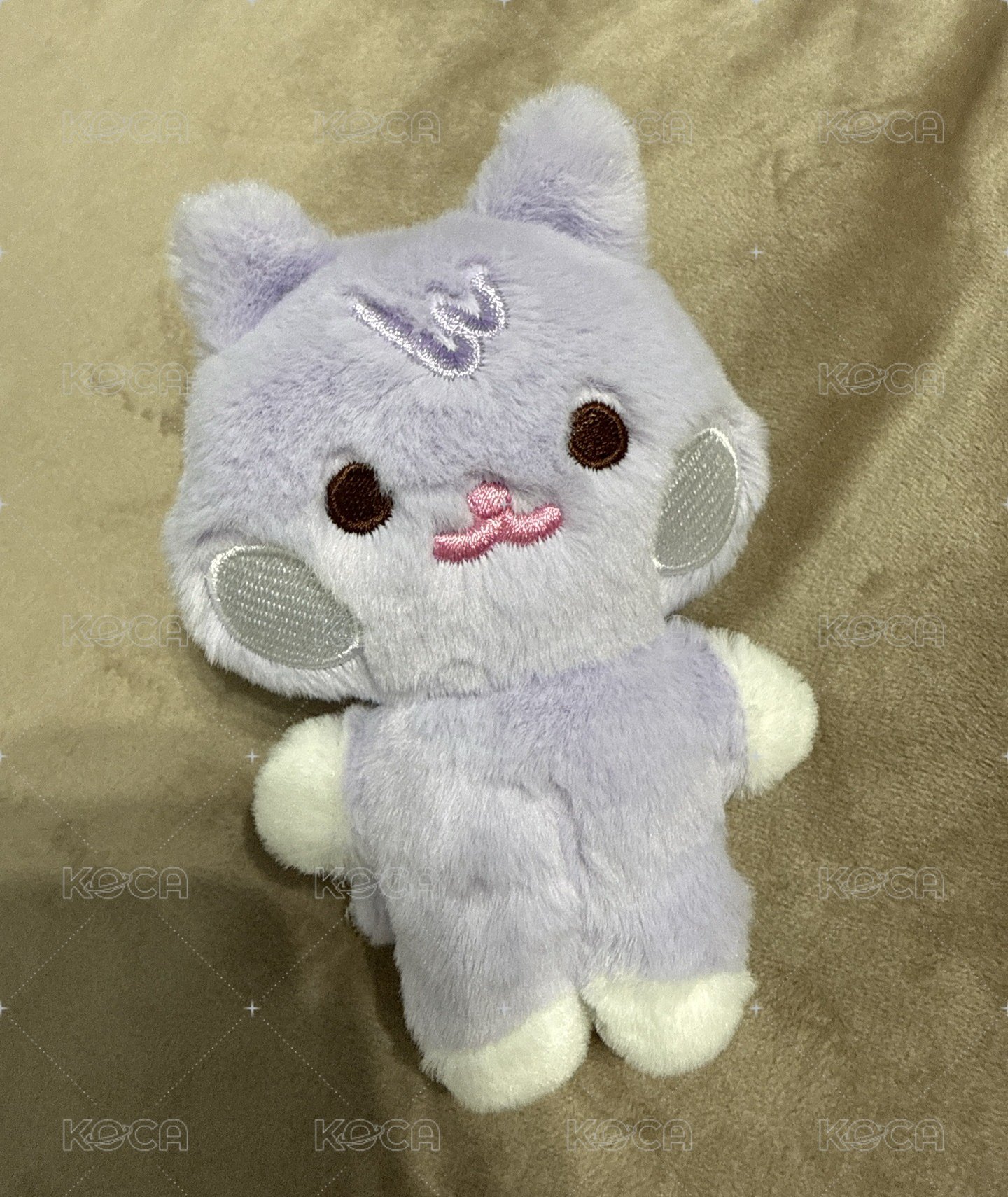 豆豆眼 傘德（含卡）