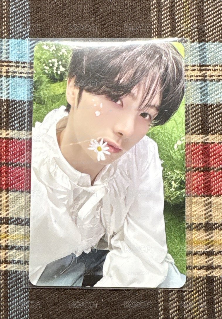wvs特典卡英宰