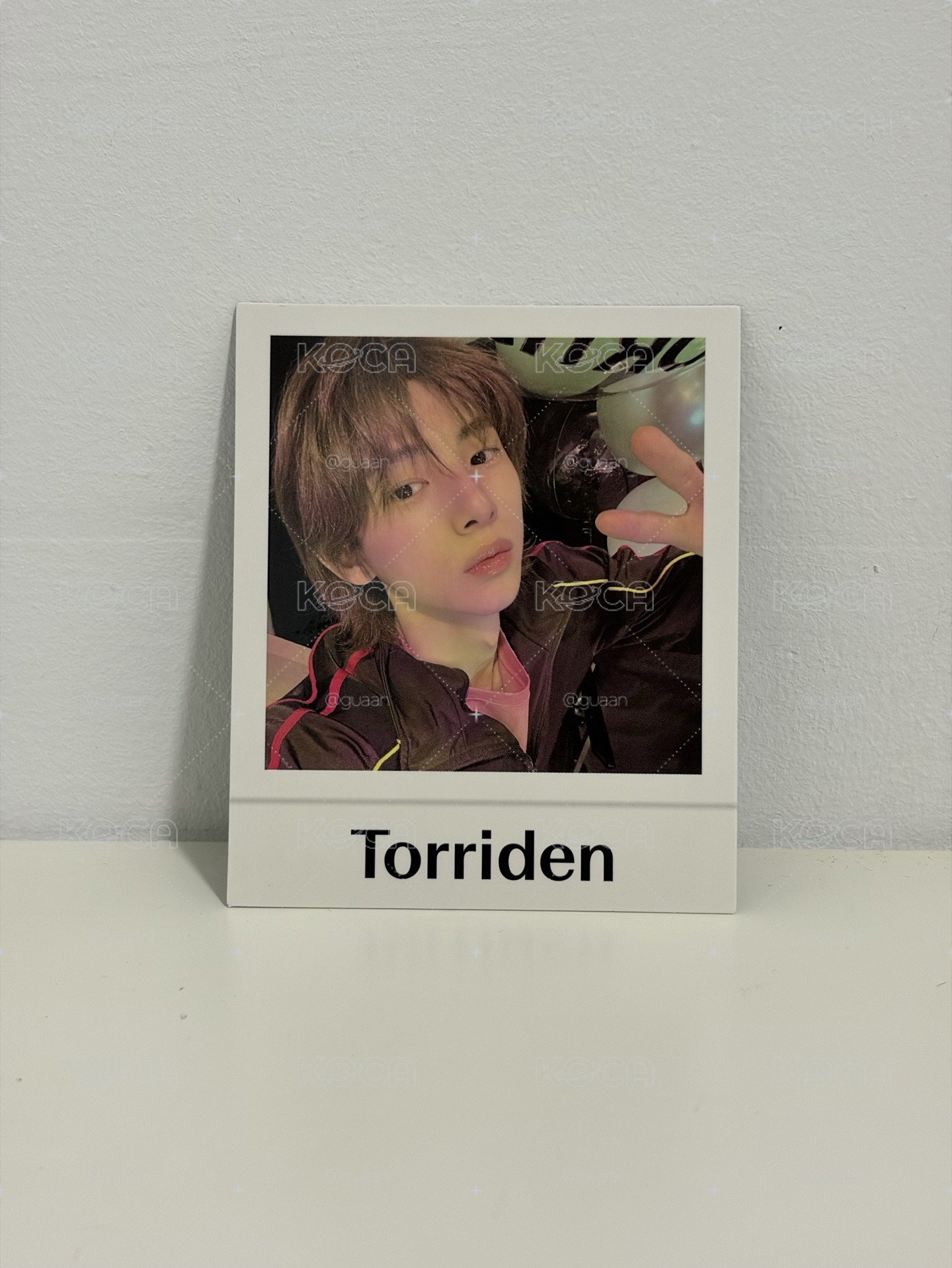 Torriden CORTIS 聯名小卡 金主訓拍立得