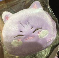 ANITEEZ 傘德後背包