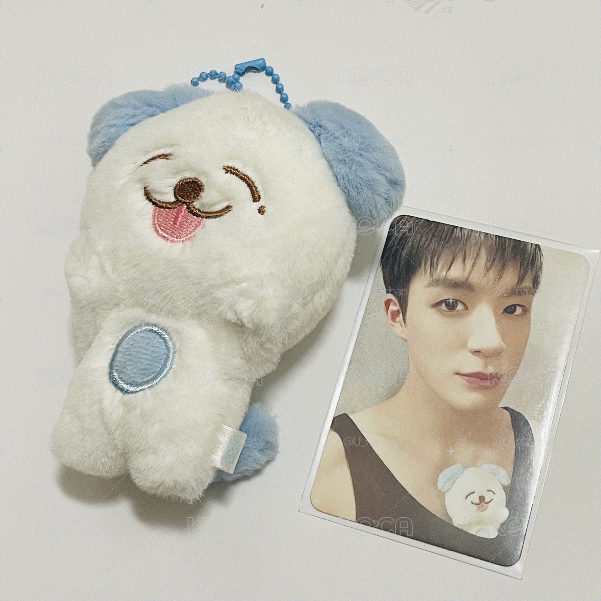 NCT DREAM JENO官娃 므멍이