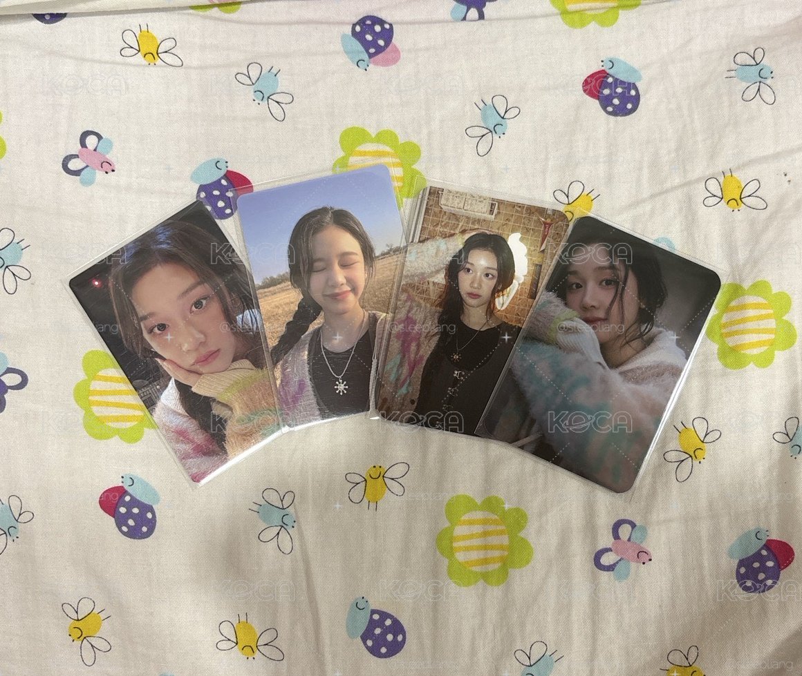 超美的粉衣塔塔 小卡全圖鑑