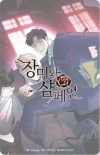 隨機卡  背面