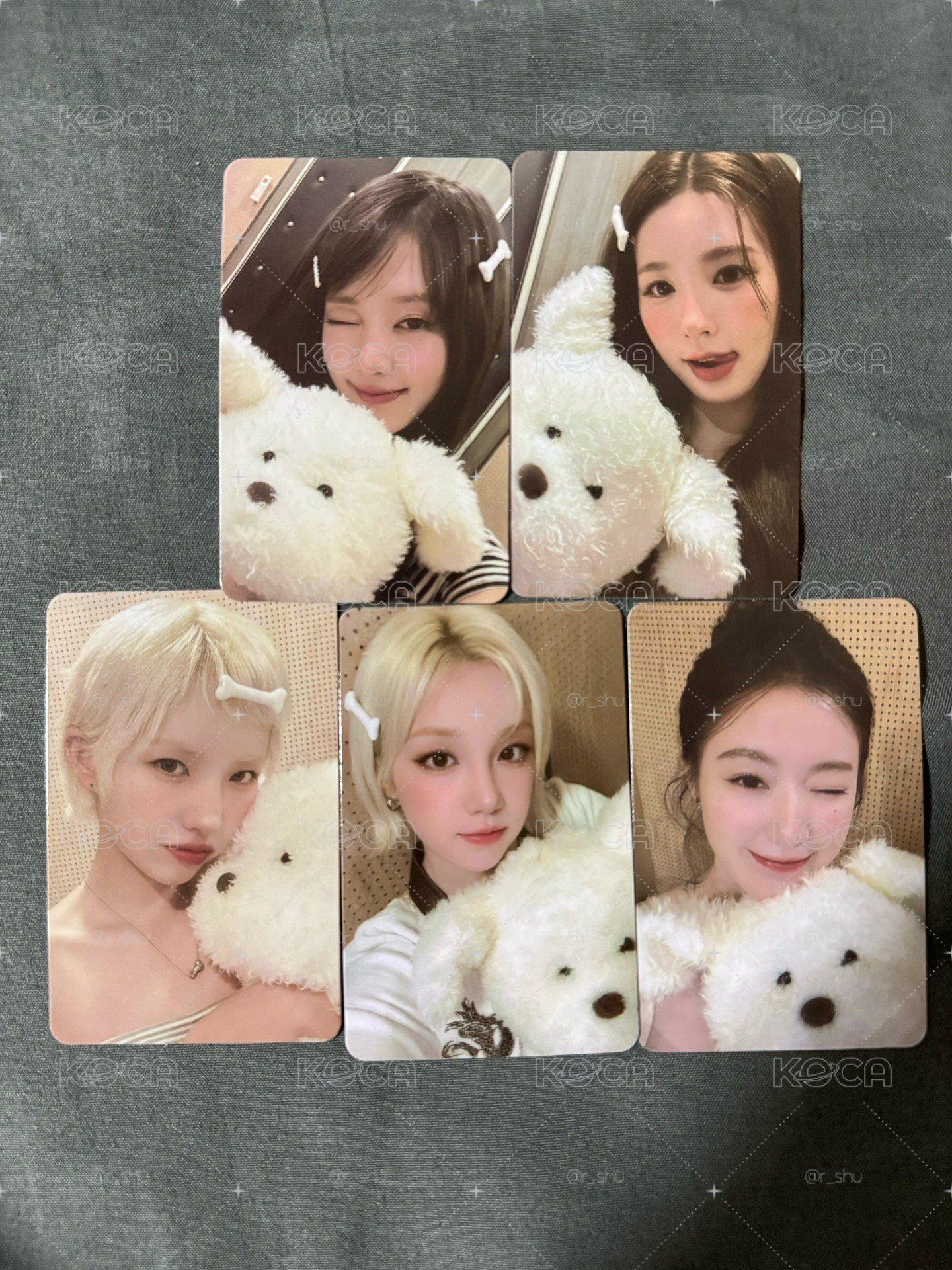 We are 狗狗系列