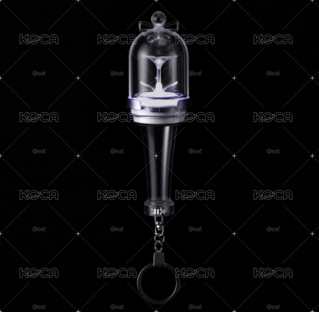 （預購）Official Light Stick Keyring
