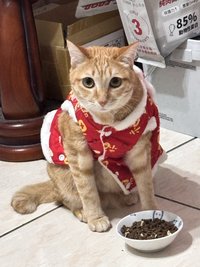 憨吉