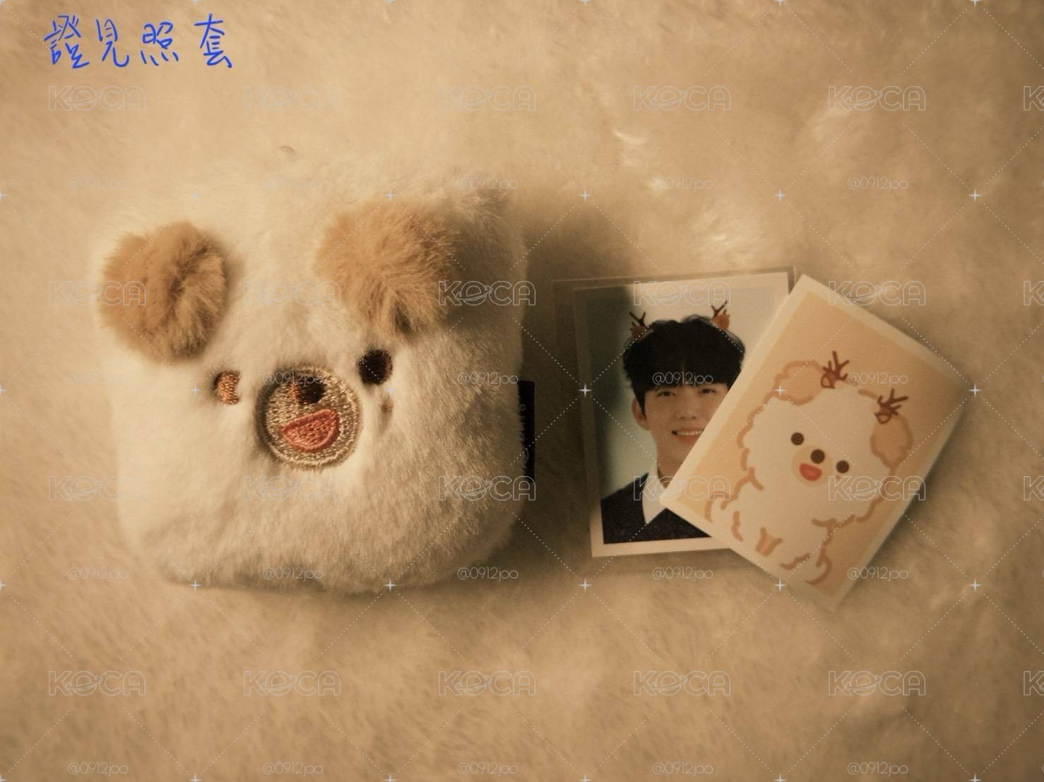 🐶盤