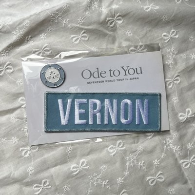 VERNON 別針徽章