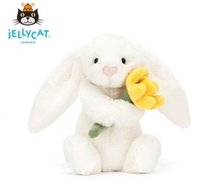 抱水仙花邦尼兔