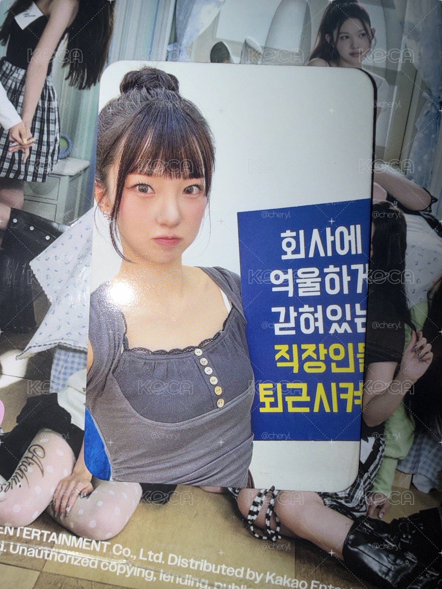 真 kpop together