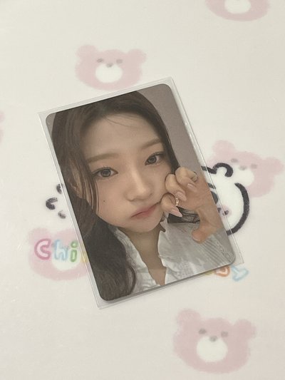 stella 中文卡背
