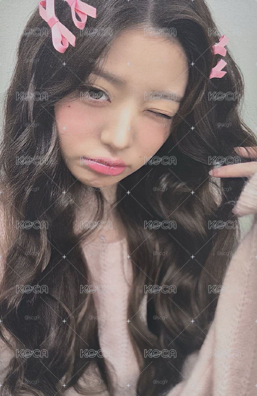 蝴蝶結員🎀