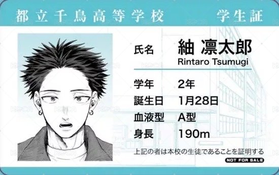 19 (首刷限定)