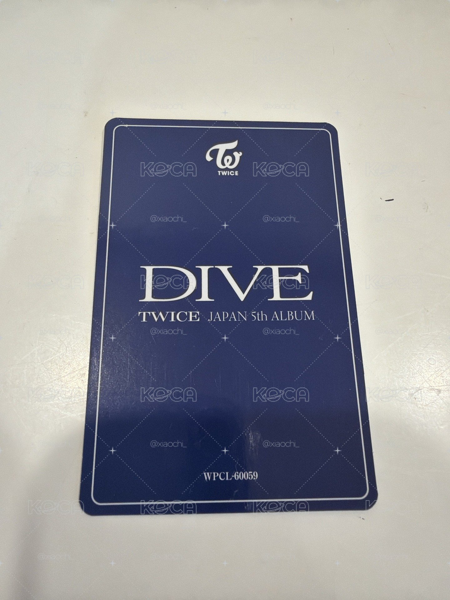 DIVE SANA 濕髮紗