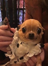 氺