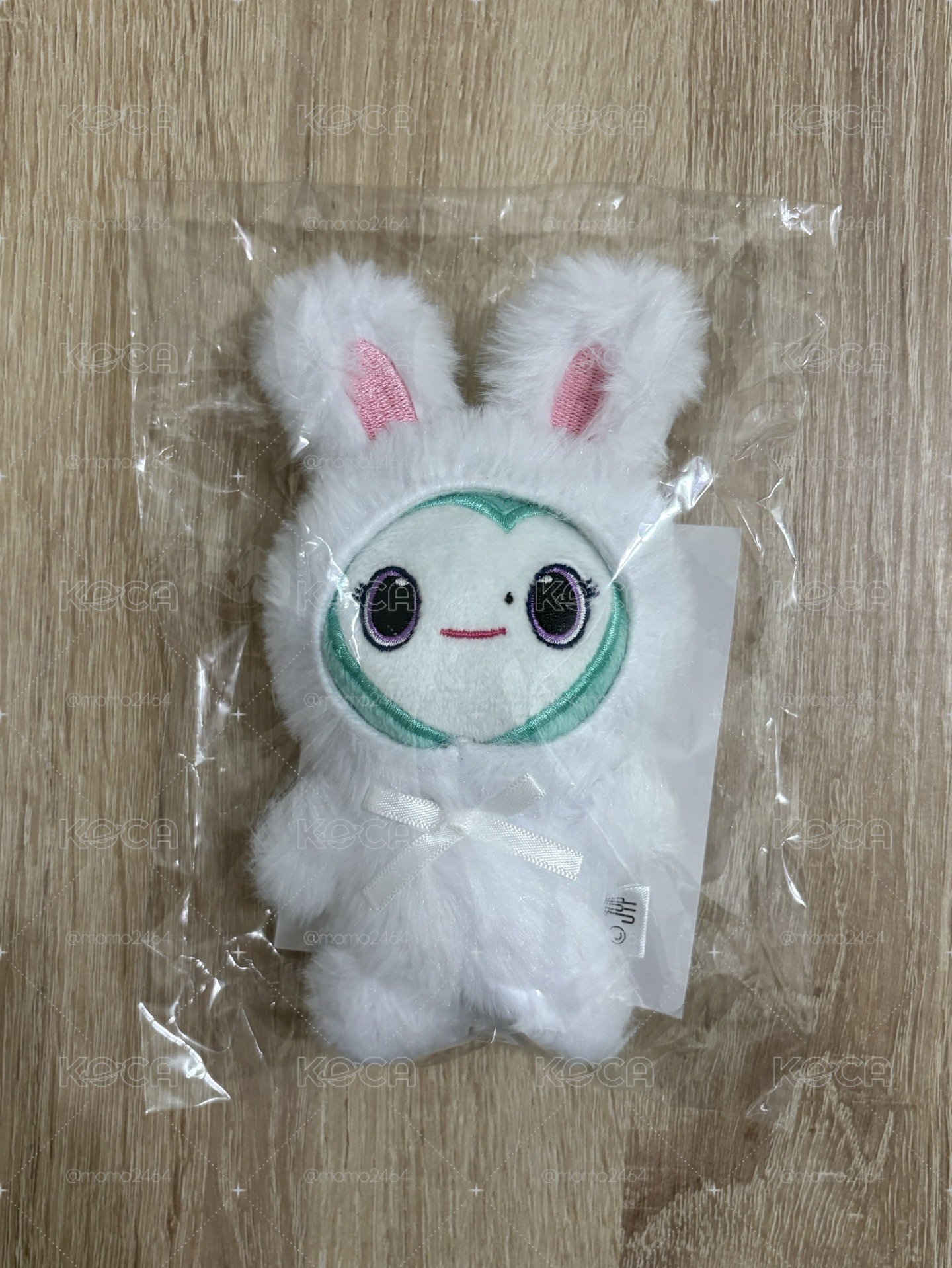 MISAMO兔娃 南🐧