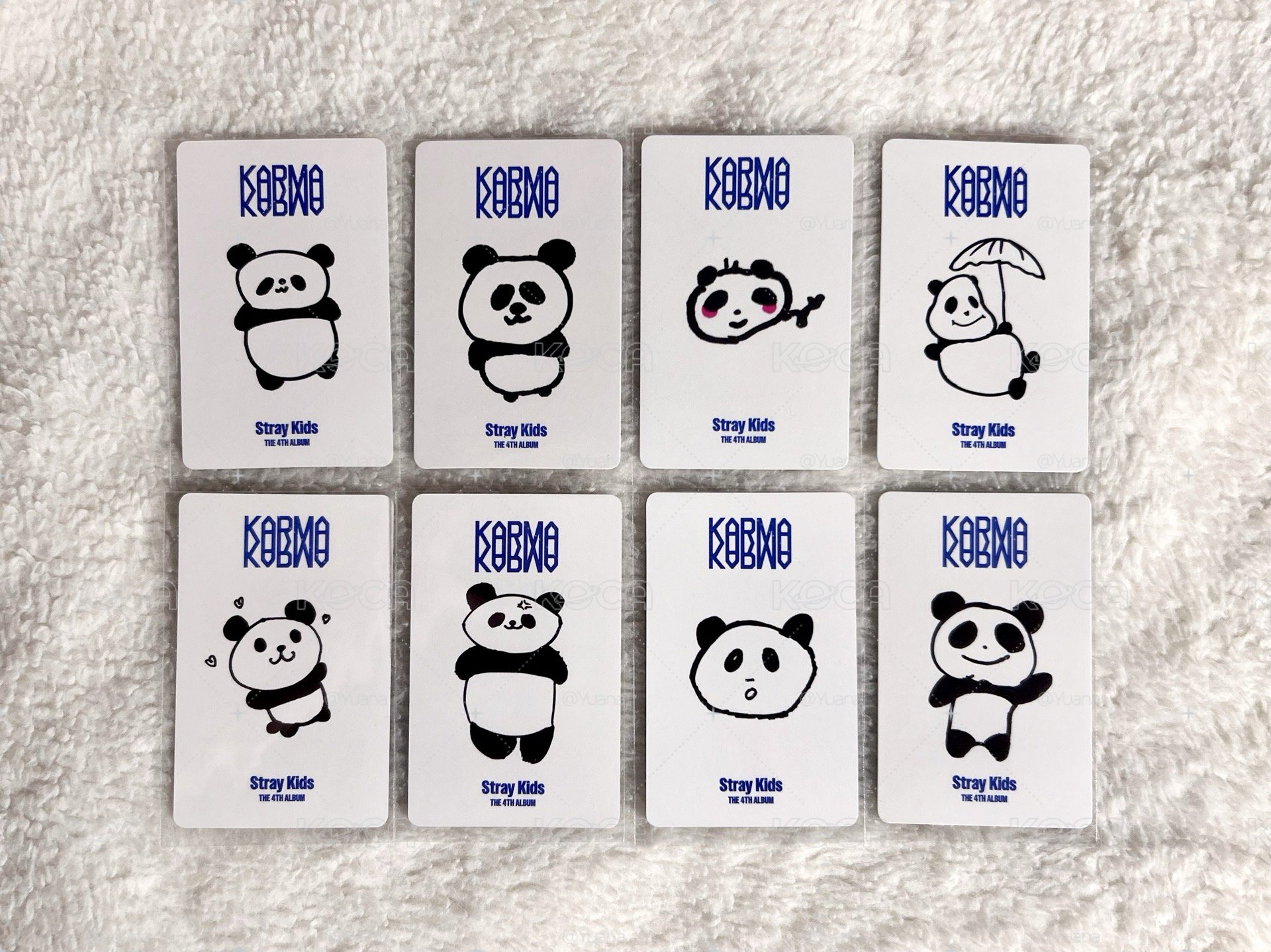 KARMA KMS 深圳簽售卡套出