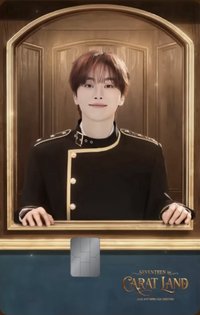 26’克拉島 NAMANE 交通卡 