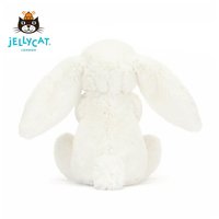 抱胡蘿蔔邦尼兔