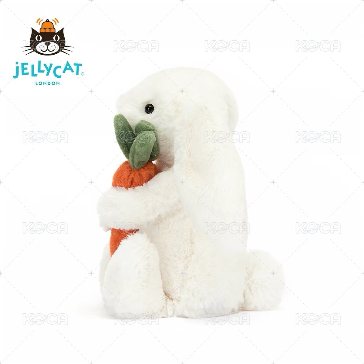 抱胡蘿蔔邦尼兔