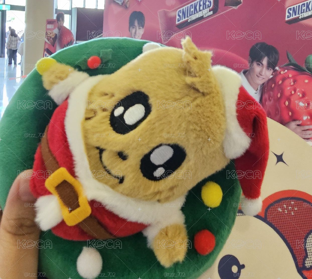 聖誕花圈奎