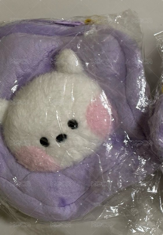 RJ