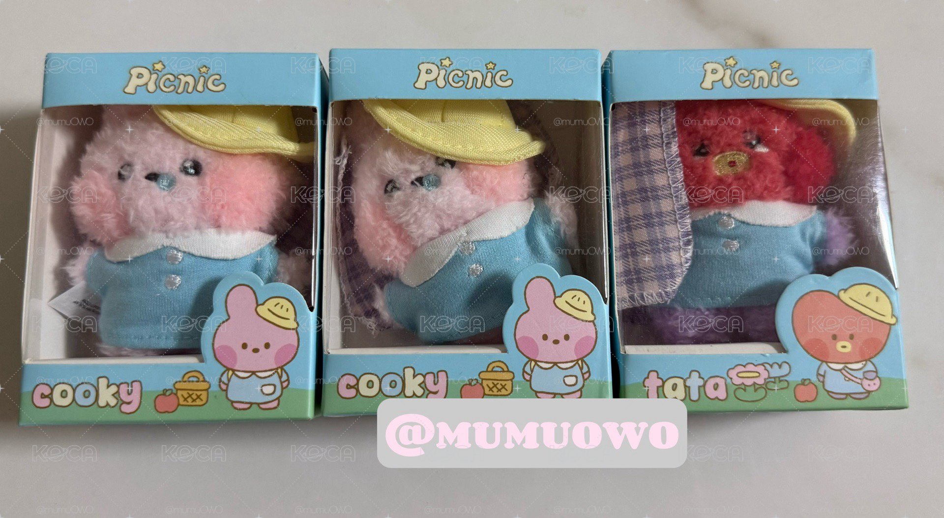 現貨 BT21野餐娃娃/鑰匙圈