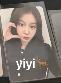 춤 (CHOOM) ms 簽售卡 