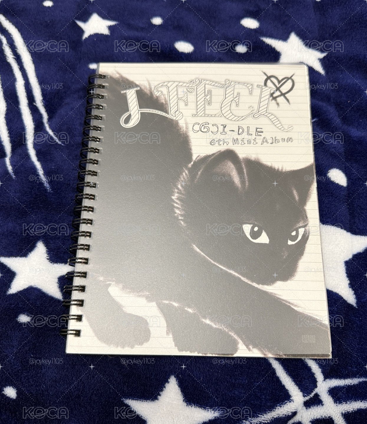 I FEEL 貓版空專