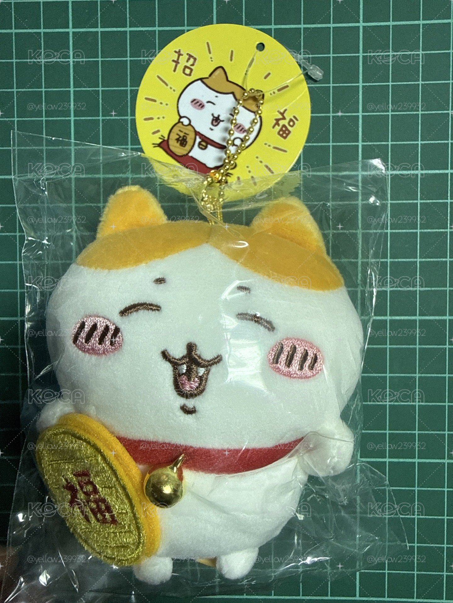招財小八 韓國購入