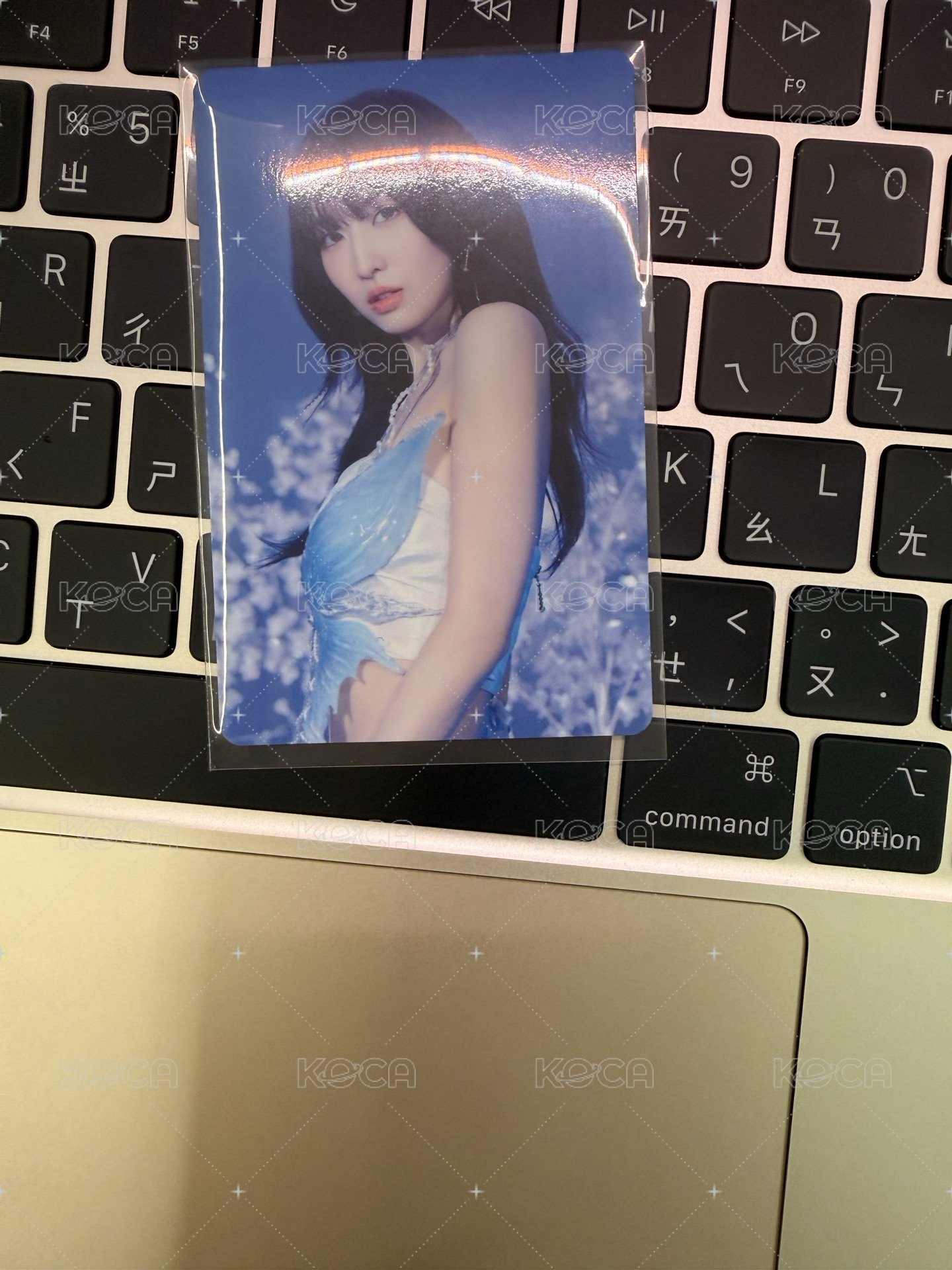 桃