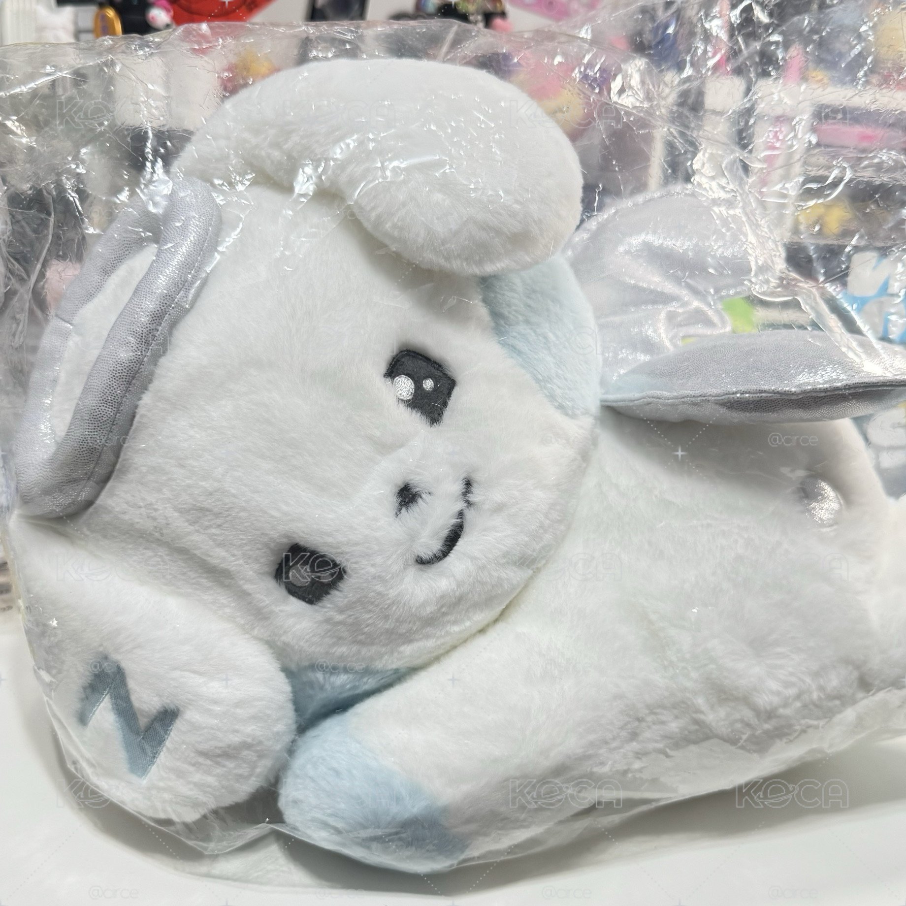 天使奎尼尼