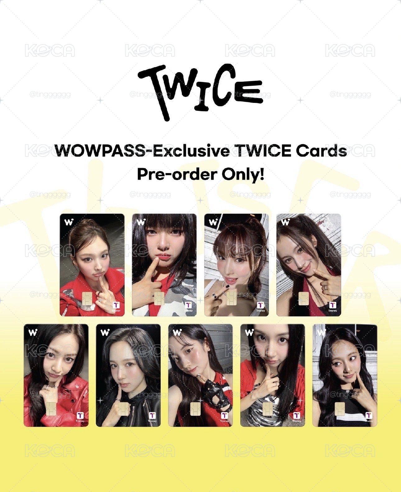 TWICE WOWPASS 2.0 交通卡 彩