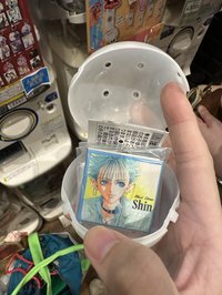 真一（可單帶）
