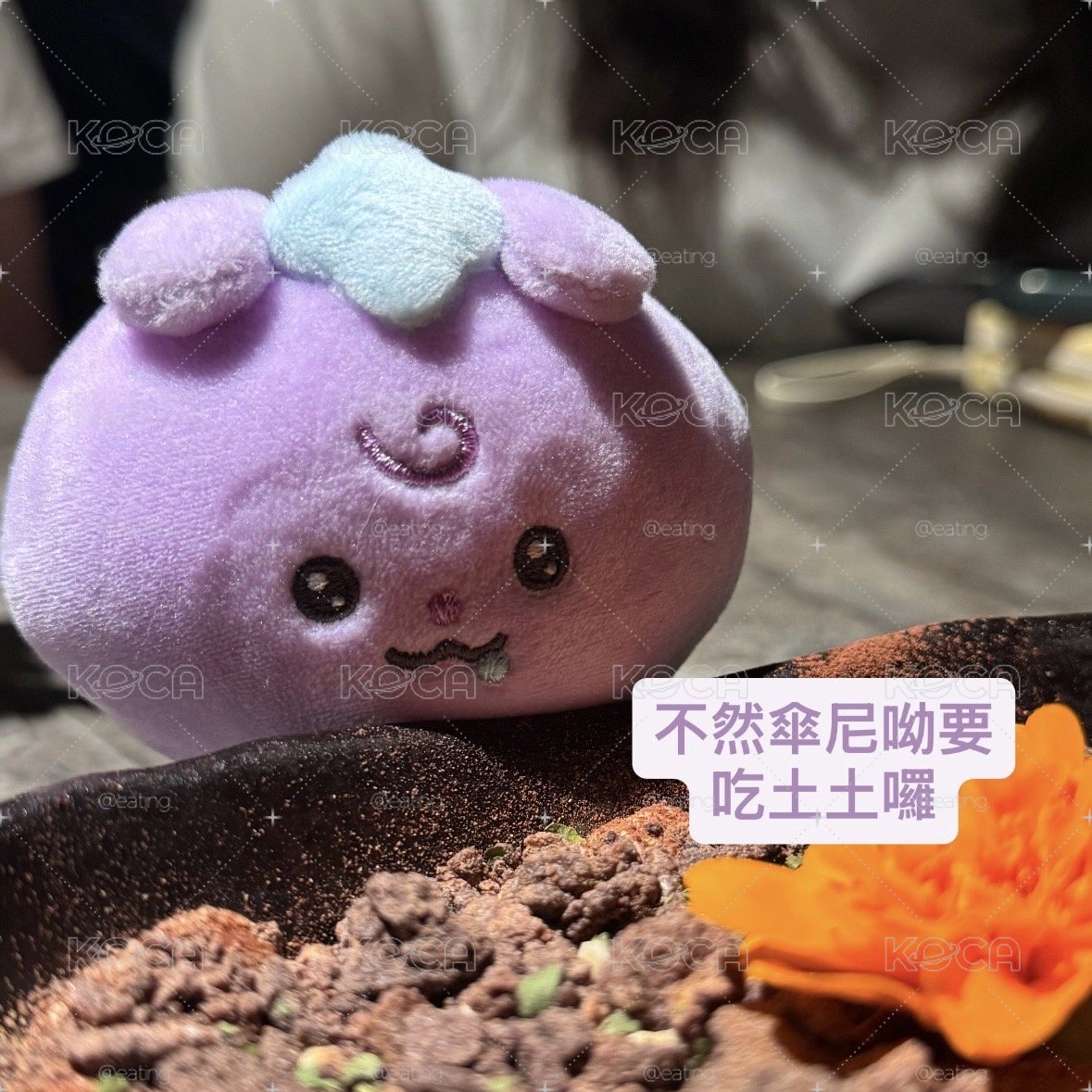 傘尼呦的出清區