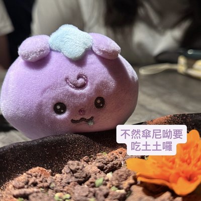 傘尼呦的出清區