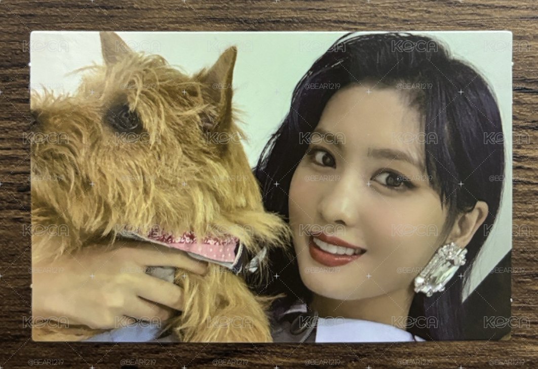 MOMO🩷BOO Eyes Wide Open專卡