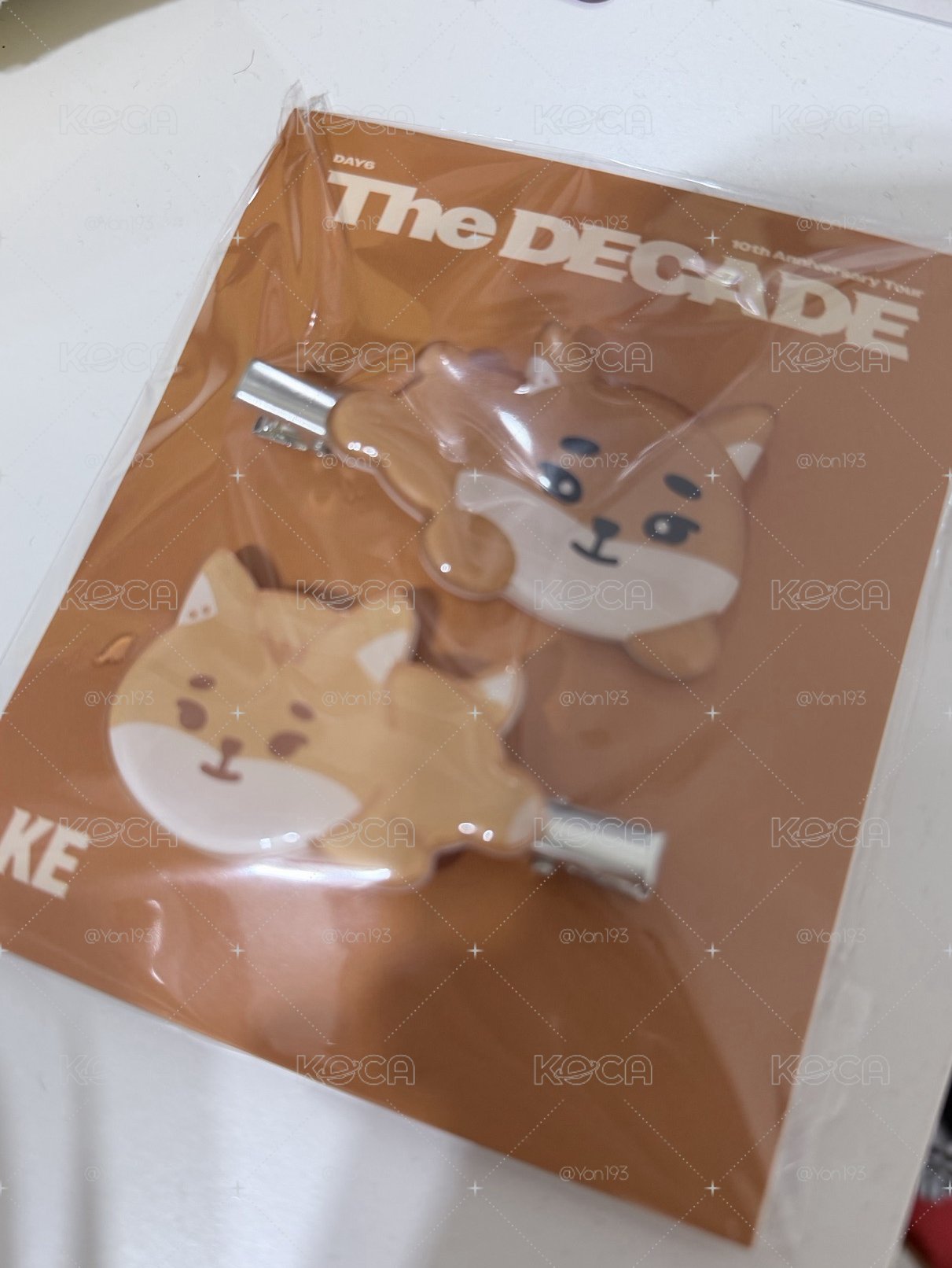 地方場髮夾🦊